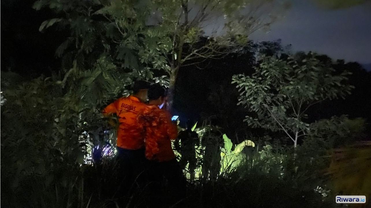 SAR gabungan sejak semalam menyusuri hutan desa di Karangmoncol Brebes untuk menemukan lansia yang dilaporkan hilang